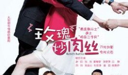 玫瑰炒肉丝在线观看,玫瑰炒肉丝美食盛宴